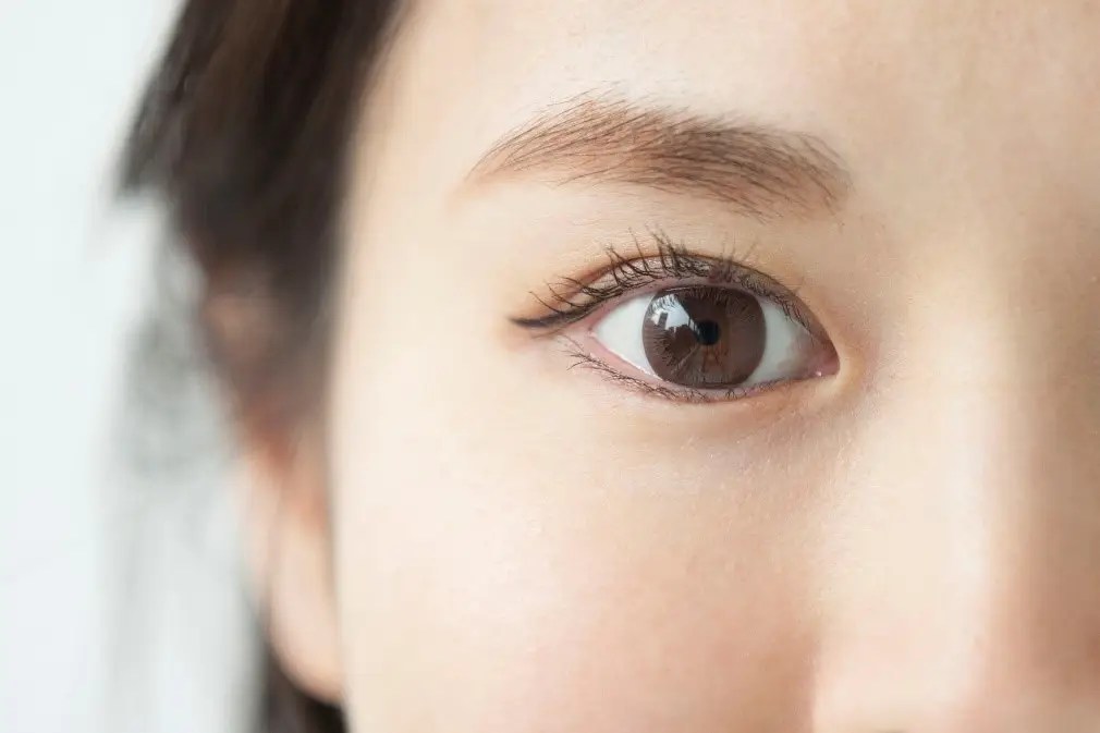 5 Best False Eyelashes for Typical Asian Eyes